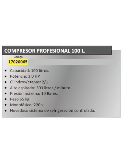 Compresor Profesional 100 Litros Hp3,0